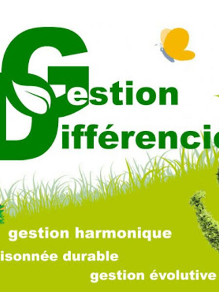 Un dessin avec le logo de la gestion différenciée avec une abeille qui vole autour de fleurs