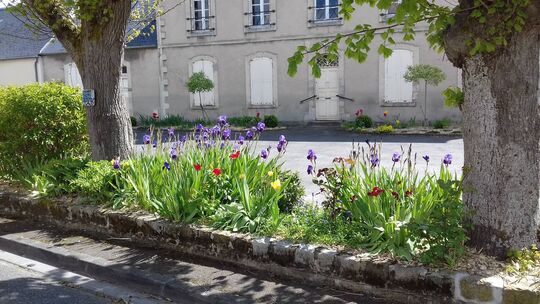 Le parterre de fleurs fleuri devant le Presbytère